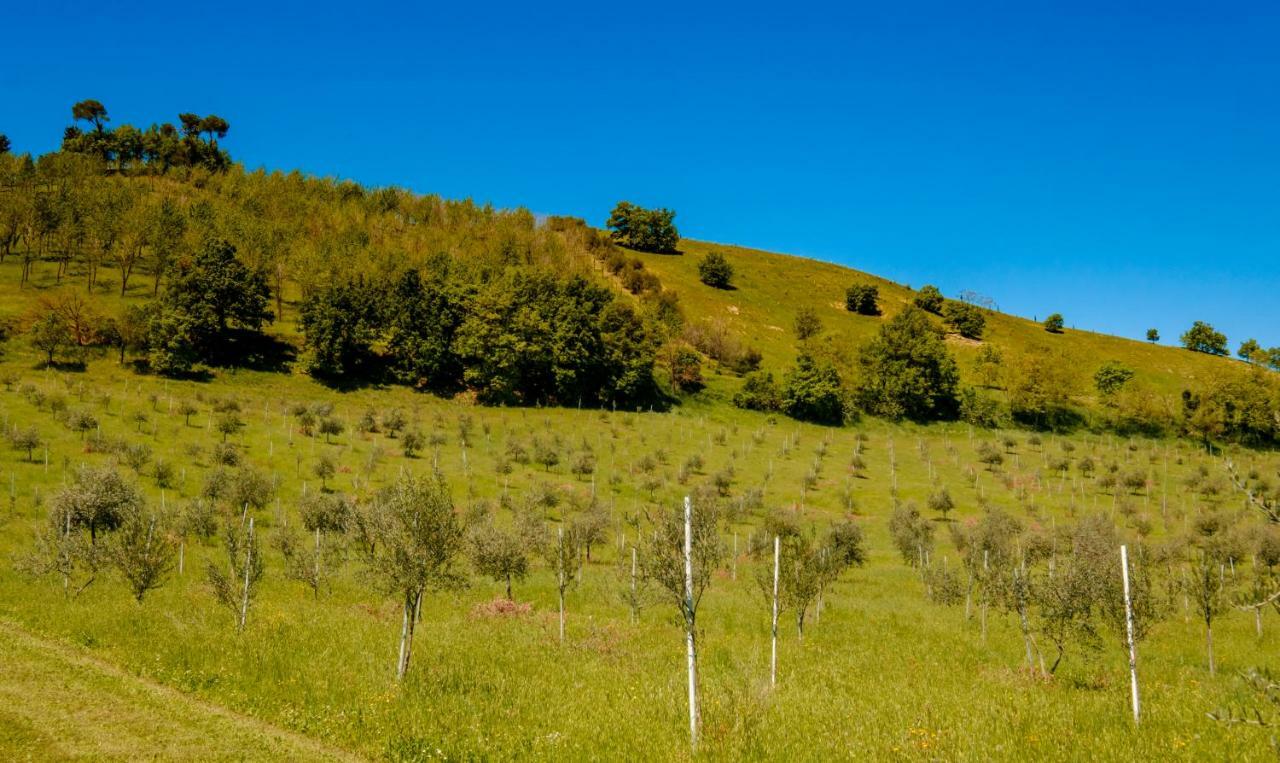 La Quercia - Bolognarooms 2*